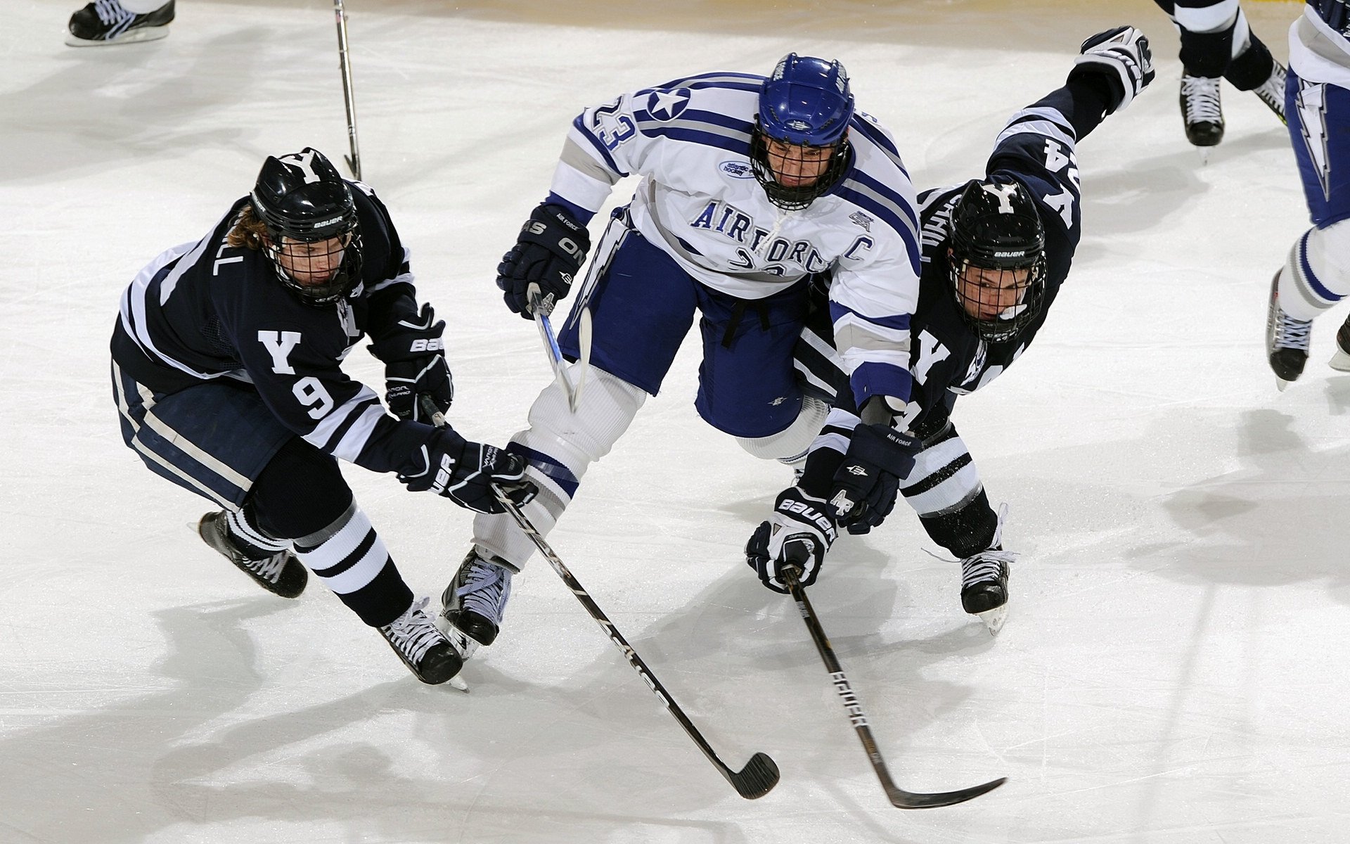 北京冬奥会火炬传递盛况空前，北京冬奥会火炬全国传递
